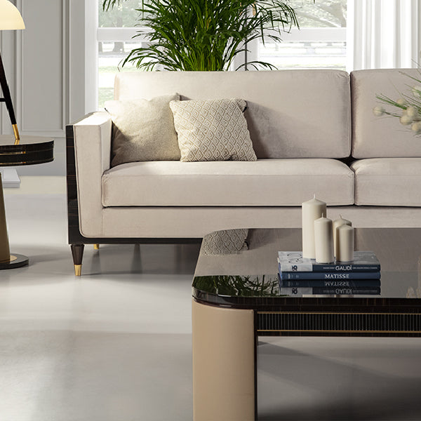 Luxurious Living Room with Contemporary Elegance