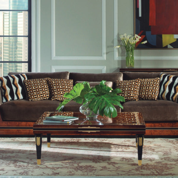 Chic Living Room with Contemporary Accents