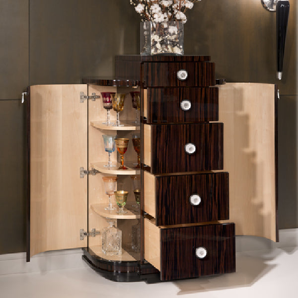 Stylish Storage Cabinet with Elegant Features