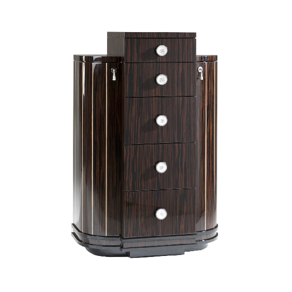Stylish Storage Cabinet with Elegant Features