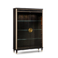 Elegant Glass Display Cabinet with Modern Design