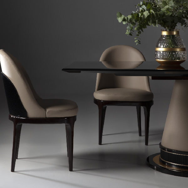 Elegant Dining Chairs with Modern Design