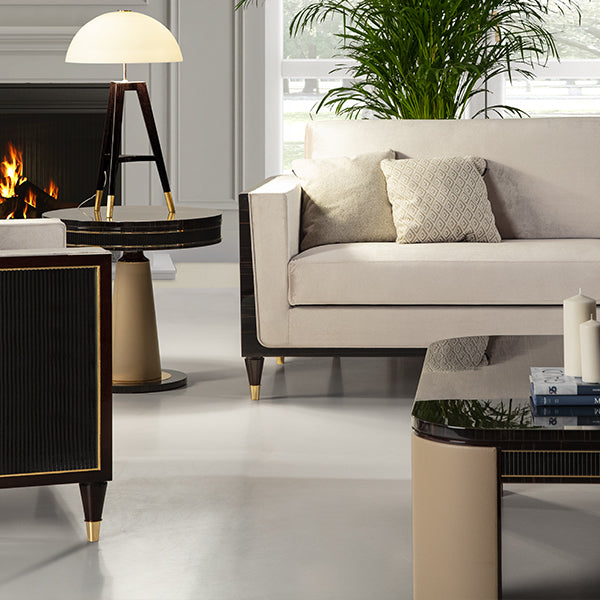 Sophisticated Living Room with Modern Accents